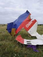 Malaysia's approach to MH17 based on evidence, not politics - ambassador