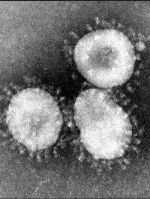 Ukraine reports 2,495 new coronavirus cases in past 24 hours