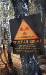 EU ready to assist Ukraine in putting out fires in Chornobyl zone