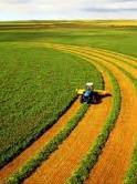 Ukraine’s agriculture should become climate-oriented - Environmental Protection Ministry