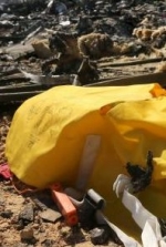 Experts find elements not related to crashed A321 airliner