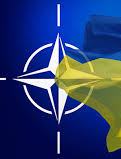 Ukraine, NATO begin discussion on membership action plan