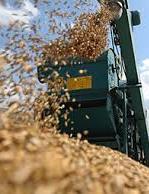 Ukraine already exported almost 6 mln tonnes of grains in 2018/2019 MY