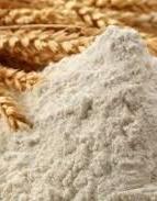 Ukraine starts to export flour to South America