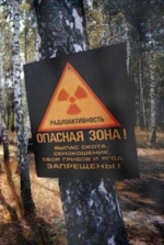 All spent fuel removed from Chornobyl NPP reactors