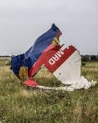 MH17 trial: Lawyers of suspect want to hear alternative versions of crash