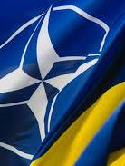 Permanent Representative Hutchison: United States supports Ukraine's aspirations to NATO membership