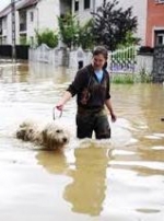 Bad weather in Ukraine leaves 285 populated areas flooded, 64 bridges destroyed