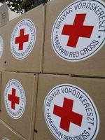 Red Cross sends 137 tonnes of humanitarian aid to occupied Donbas