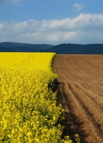 Groysman stresses importance of discussing land reform