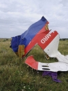 Malaysia's approach to MH17 based on evidence, not politics - ambassador