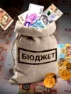 Finance Ministry replenishes state budget with UAH 9.86 bln from domestic bonds’ sale