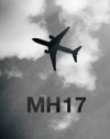 Netherlands brings MH17 case against Russia before ECHR