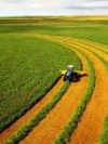 Zelensky signs decree on transfer of agricultural land to municipal ownership