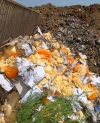 Food from EU deliberately destructed in Russia (PHOTOS)