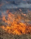 The highest level of fire danger declared in Ukraine