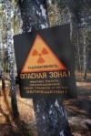 All spent fuel removed from Chornobyl NPP reactors