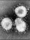 Ukraine reports 2,203 coronavirus cases, including 69 deaths