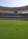 Ukraine joins Council of Europe convention on football matches safety