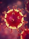 Ukraine confirms 6,592 coronavirus cases