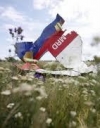 Ambassador to Netherlands: There is no question of Ukraine's responsibility for MH17 crash