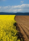 Prime Minister promises targeted support for Ukrainian farmers