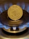 Ukrainian Government promises to review price of natural gas