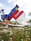 Experts complete search activities at the MH17 crash site